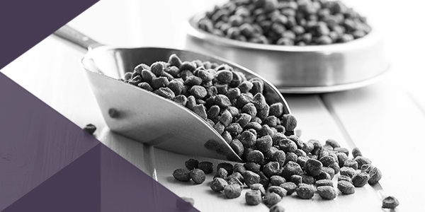 King finds a new fulfillment home for this pet supplier’s line of products